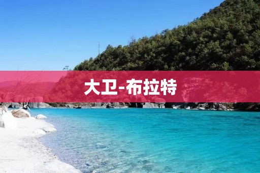 大卫-布拉特:足球世界的黑暗之王 大卫-布拉特:足球世界的黑暗之王