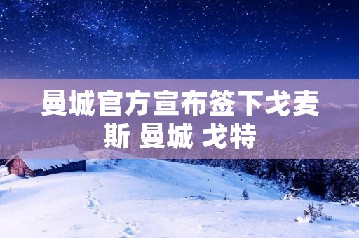 曼城官方宣布签下戈麦斯 曼城 戈特