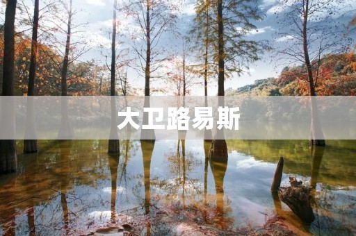 大卫路易斯:音乐界的天才创作家 大卫路易斯:音乐界的天才创作家