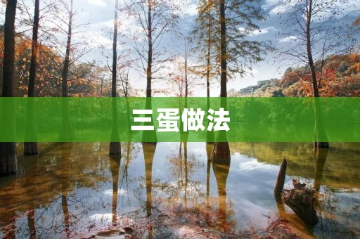 三蛋做法：让你的菜肴更加美味