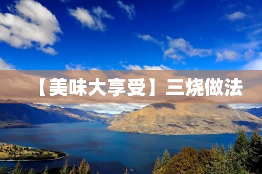 【美味大享受】三烧做法:让你的家庭晚餐更加丰富多彩 【美味大享受】三烧做法:让你的家庭晚餐更加丰富多彩
