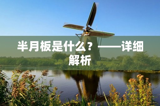 半月板是什么?——详细解析