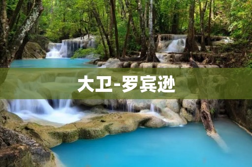 大卫-罗宾逊：超越人生极限的探险家