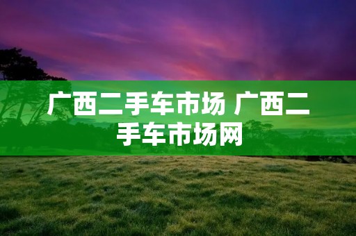 广西二手车市场 广西二手车市场网 广西二手车市场 广西二手车市场网