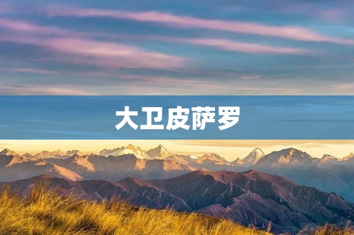 大卫皮萨罗：一个充满争议的传奇人物