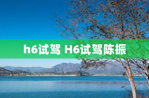 h6试驾 H6试驾陈振