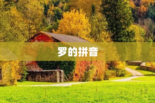 罗的拼音:探寻罗姓的起源和发展