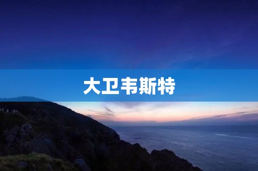 大卫韦斯特：音乐天才的传奇人生