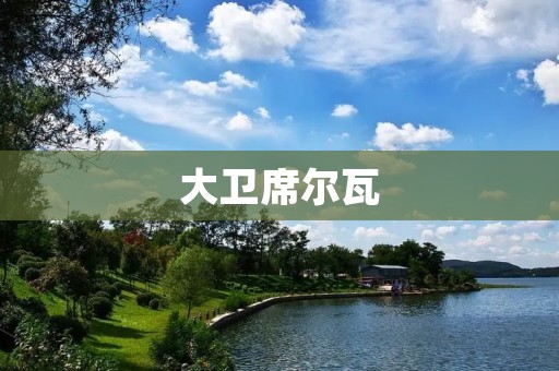 大卫席尔瓦：曼城的灵魂之一