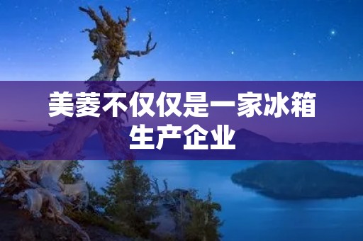美菱不仅仅是一家冰箱生产企业
