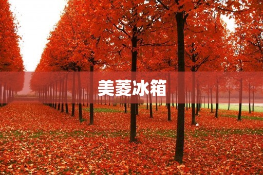 美菱冰箱:专业制造高品质冰箱的品牌 美菱冰箱:专业制造高品质冰箱的品牌