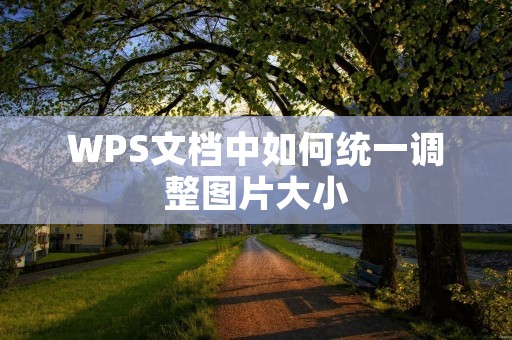 WPS文档中如何统一调整图片大小