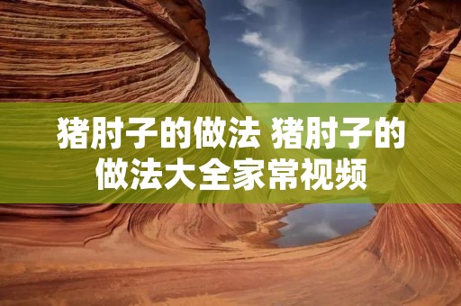 猪肘子的做法 猪肘子的做法大全家常视频 猪肘子的做法 猪肘子的做法大全家常视频