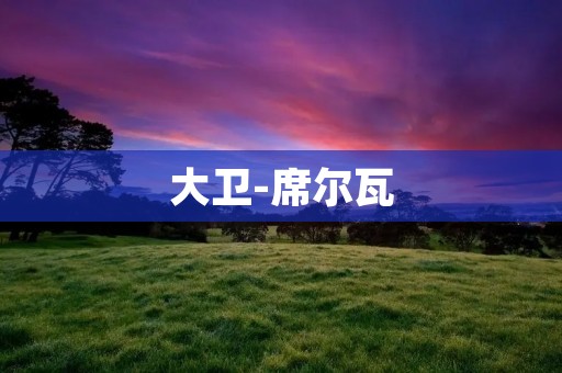 大卫-席尔瓦：足球场上的巨星