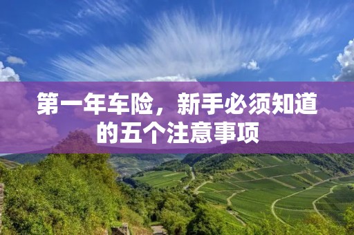 第一年车险,新手必须知道的五个注意事项 第一年车险,新手必须知道的五个注意事项