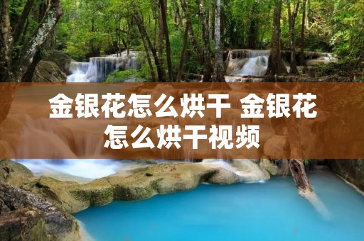 金银花怎么烘干 金银花怎么烘干视频