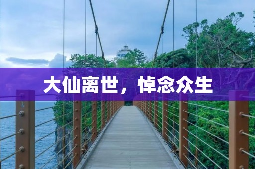 大仙离世，悼念众生