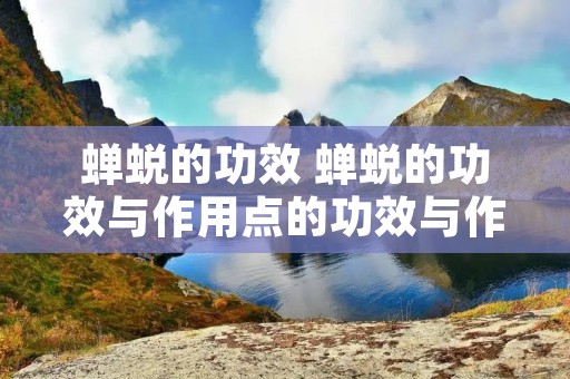蝉蜕的功效 蝉蜕的功效与作用点的功效与作用及禁忌