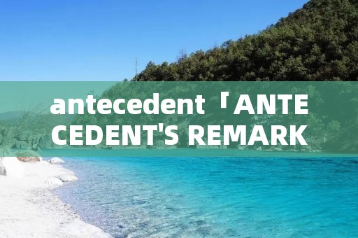 antecedent「ANTECEDENT'S REMARKS」 antecedent「ANTECEDENT'S REMARKS」