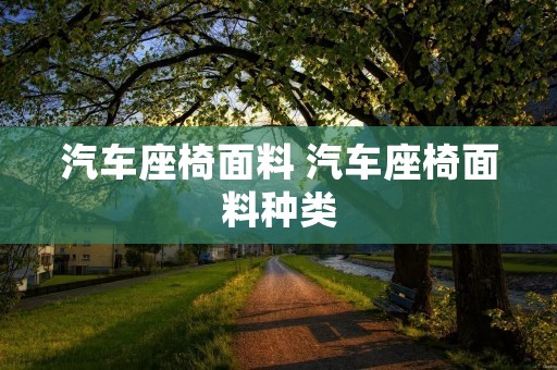 汽车座椅面料 汽车座椅面料种类 汽车座椅面料 汽车座椅面料种类
