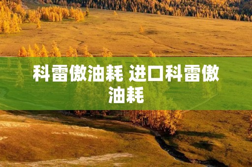 科雷傲油耗 进口科雷傲油耗 科雷傲油耗 进口科雷傲油耗