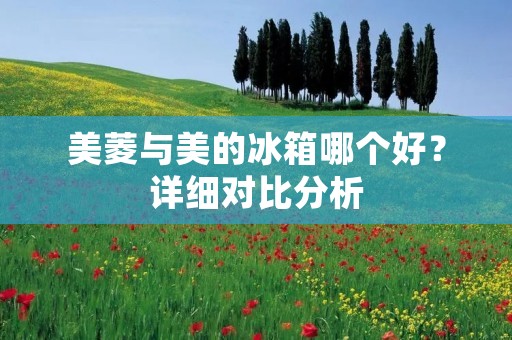 美菱与美的冰箱哪个好？详细对比分析