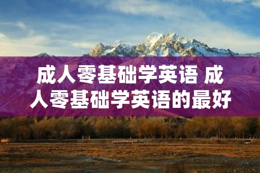 成人零基础学英语 成人零基础学英语的最好的app