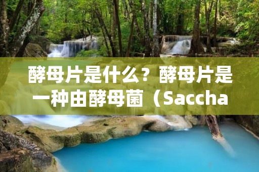 酵母片是什么?酵母片是一种由酵母菌(Saccharomyces cerevisiae)制成的营养补充剂。酵母片富含维生素B群、蛋白质、矿物质和纤维素等多种营养物质,被广泛应用于保健、美容和食品加工等领域。