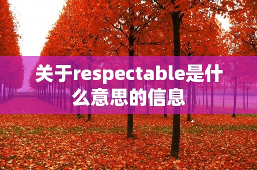 关于respectable是什么意思的信息