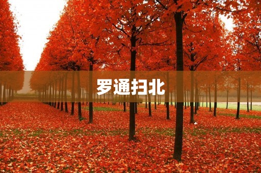 罗通扫北：一场历史上的血腥战争