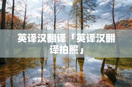 英译汉翻译「英译汉翻译拍照」