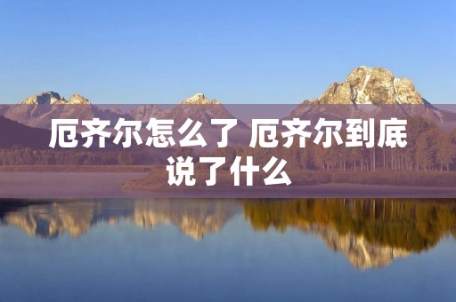 厄齐尔怎么了 厄齐尔到底说了什么
