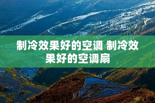 制冷效果好的空调 制冷效果好的空调扇 制冷效果好的空调 制冷效果好的空调扇