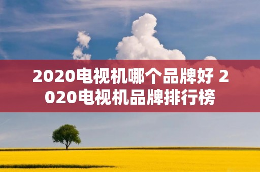 2020电视机哪个品牌好 2020电视机品牌排行榜