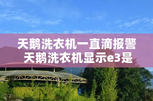 天鹅洗衣机一直滴报警 天鹅洗衣机显示e3是怎么办