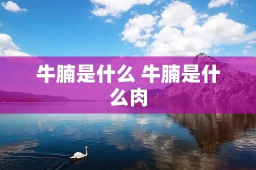 牛腩是什么 牛腩是什么肉
