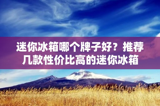 迷你冰箱哪个牌子好？推荐几款性价比高的迷你冰箱