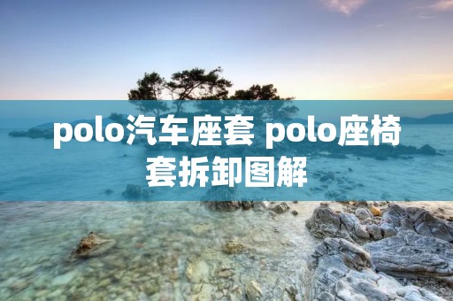 polo汽车座套 polo座椅套拆卸图解