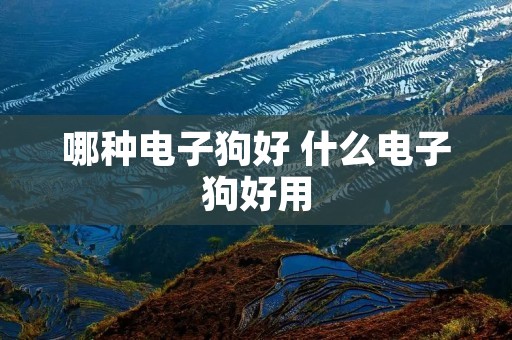 哪种电子狗好 什么电子狗好用