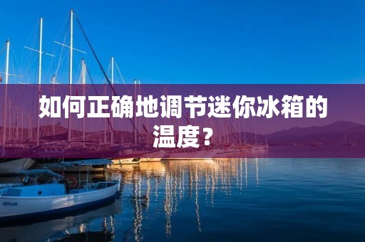 如何正确地调节迷你冰箱的温度？