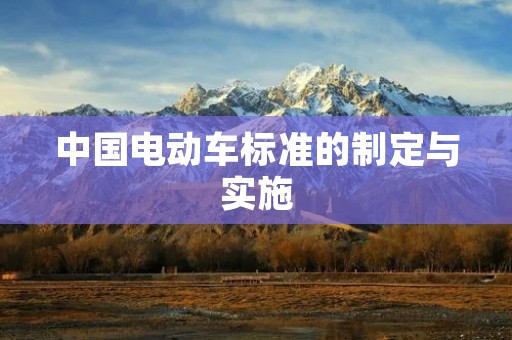 中国电动车标准的制定与实施 中国电动车标准的制定与实施