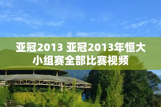 亚冠2013 亚冠2013年恒大小组赛全部比赛视频
