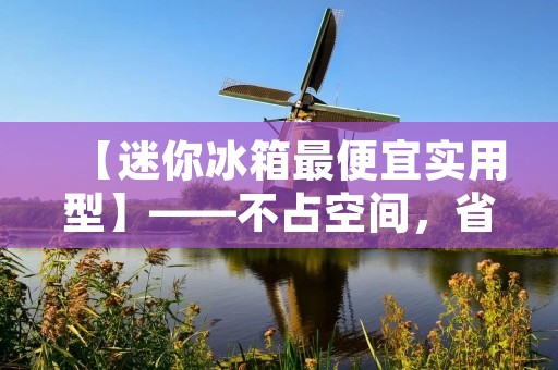 【迷你冰箱最便宜实用型】——不占空间，省电实惠