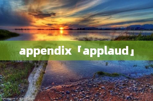appendix「applaud」