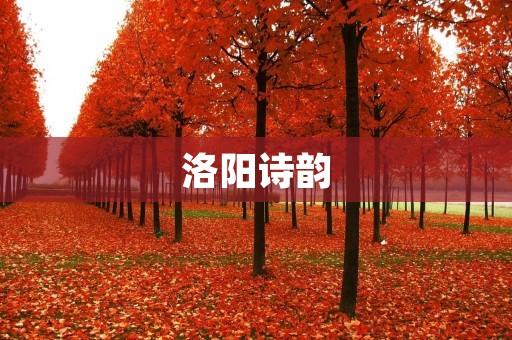 洛阳诗韵:千年古都的诗歌风华