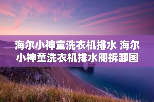 海尔小神童洗衣机排水 海尔小神童洗衣机排水阀拆卸图解