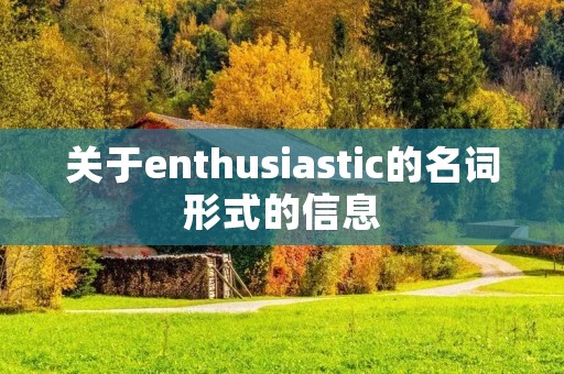 关于enthusiastic的名词形式的信息