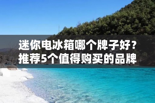 迷你电冰箱哪个牌子好？推荐5个值得购买的品牌