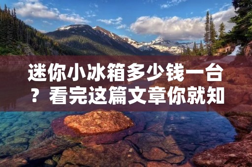 迷你小冰箱多少钱一台？看完这篇文章你就知道了！
