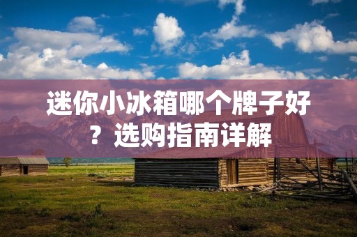 迷你小冰箱哪个牌子好？选购指南详解